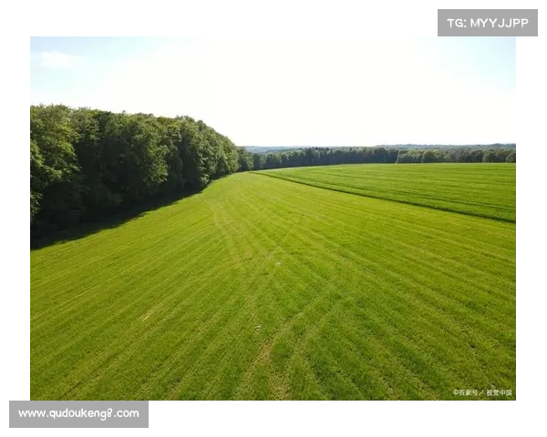 乡村小满:生命的韵律与自然的魅力 乡村小满:生命的韵律与自然的魅力